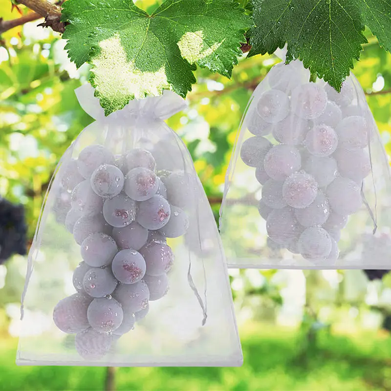 Bolsas de malla anti-pájaro para frutas y verduras de jardín