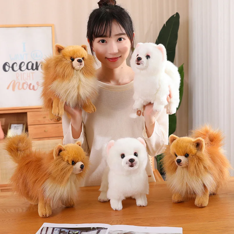 Peluche de perro pomerania realista, suave y bonito para niños - imagen 2