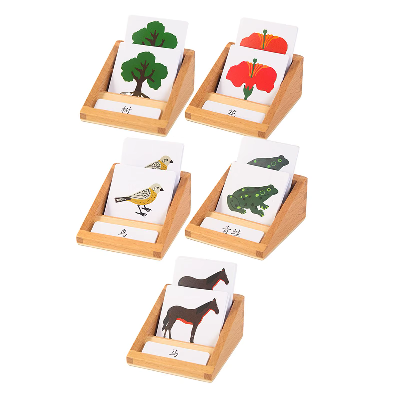 Juguete educativo realista de animales y plantas por segmentos - imagen 4
