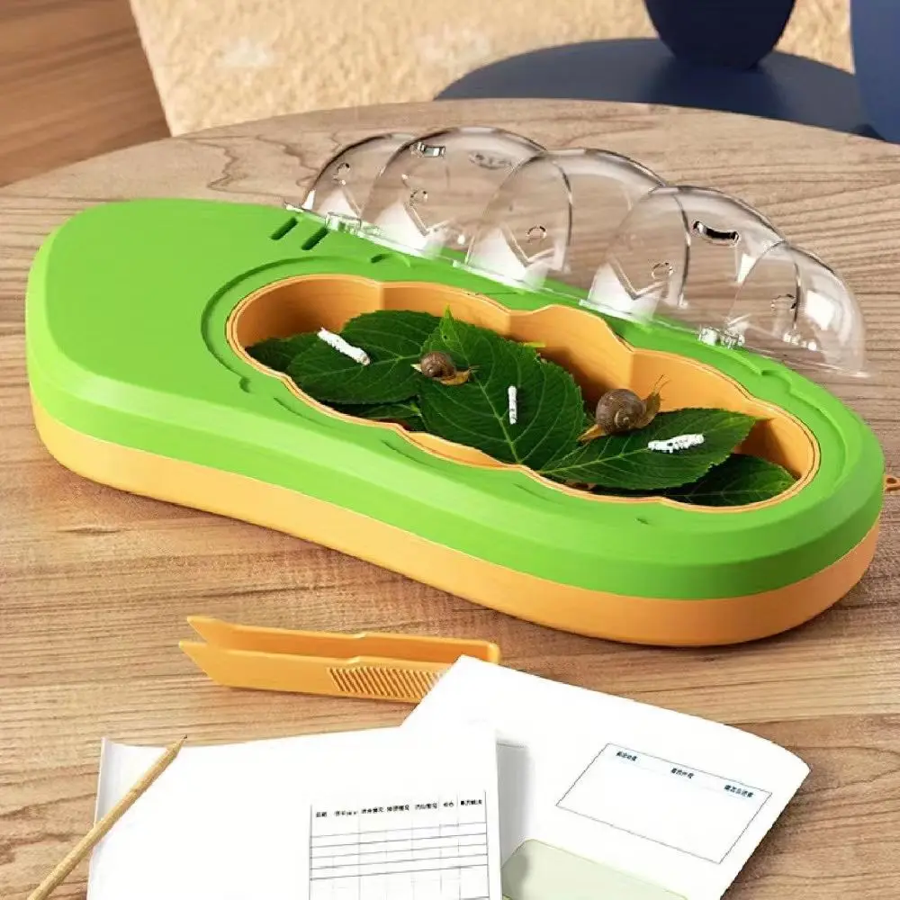 Caja transparente para observar gusanos de seda - imagen 3