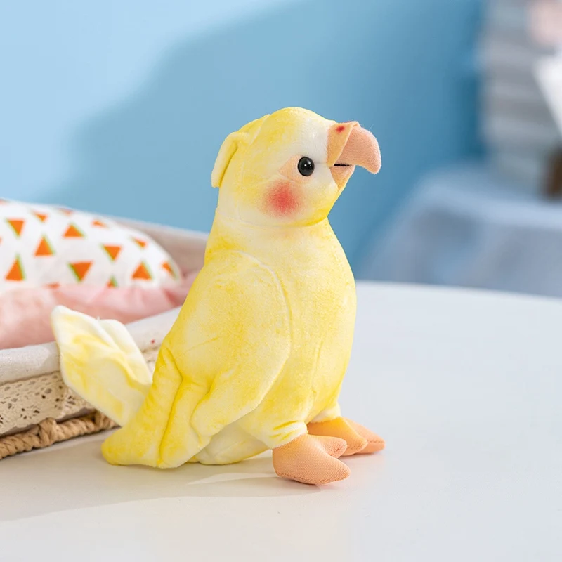 Loro de peluche en diferentes perspectivas