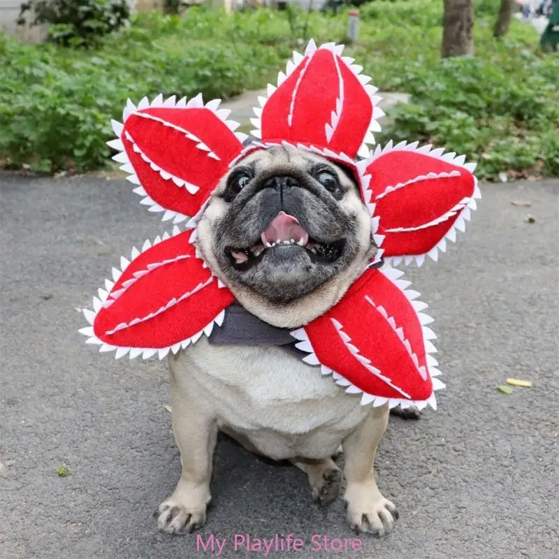 Sombrero tipo disfraz de piraña para mascota