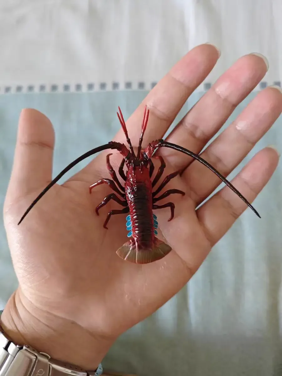 Figuras cápsula Ikimon: criaturas coleccionables de naturaleza japonesa - imagen 3