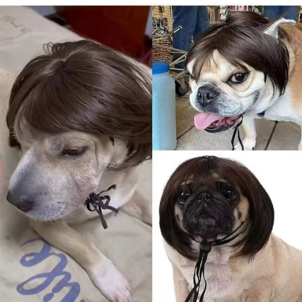 Peluca ajustable sintética para mascotas con orejas a la vista - imagen 5