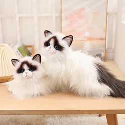 Muñeco peluche gato Ragdoll pelo largo ojos azules