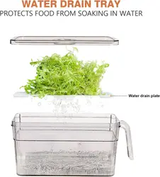 Caja transparente sellada para nevera, organización de alimentos