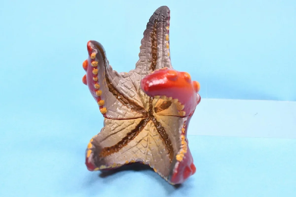 Gashapon Estrella de Mar Kikiki Karami – Figura infantil - imagen 2