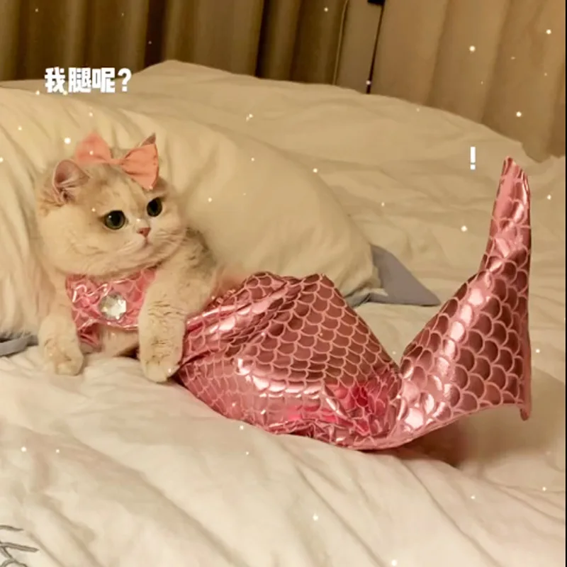 Disfraz de sirena divertido para gato con cola de pez - imagen 2
