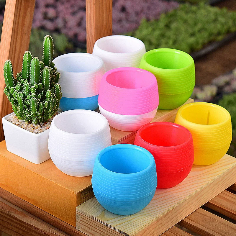 Mini macetas de plástico para plantas pequeñas