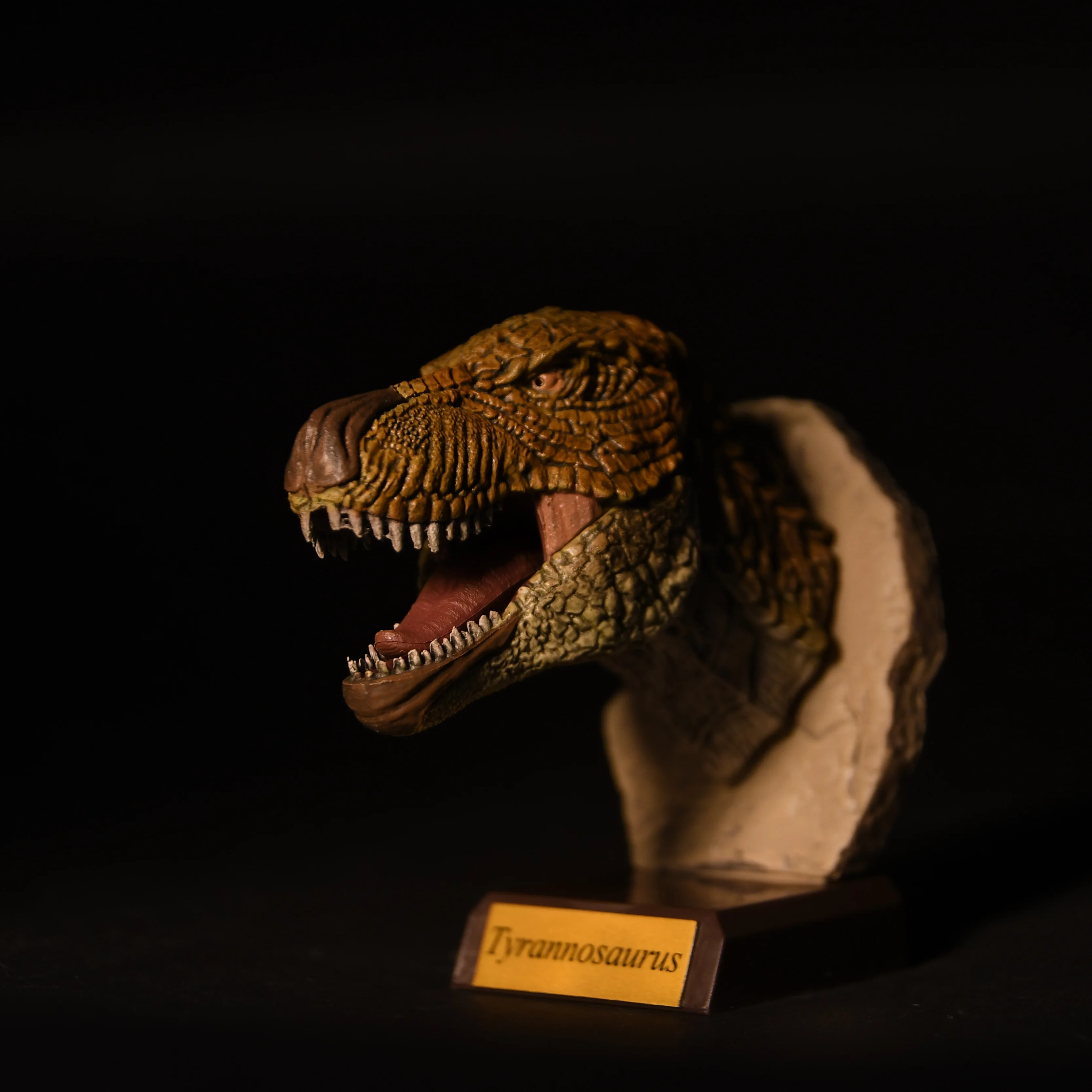 Qualia figuras de dinosaurios Triceratops y tiranosaurio realistas - imagen 2