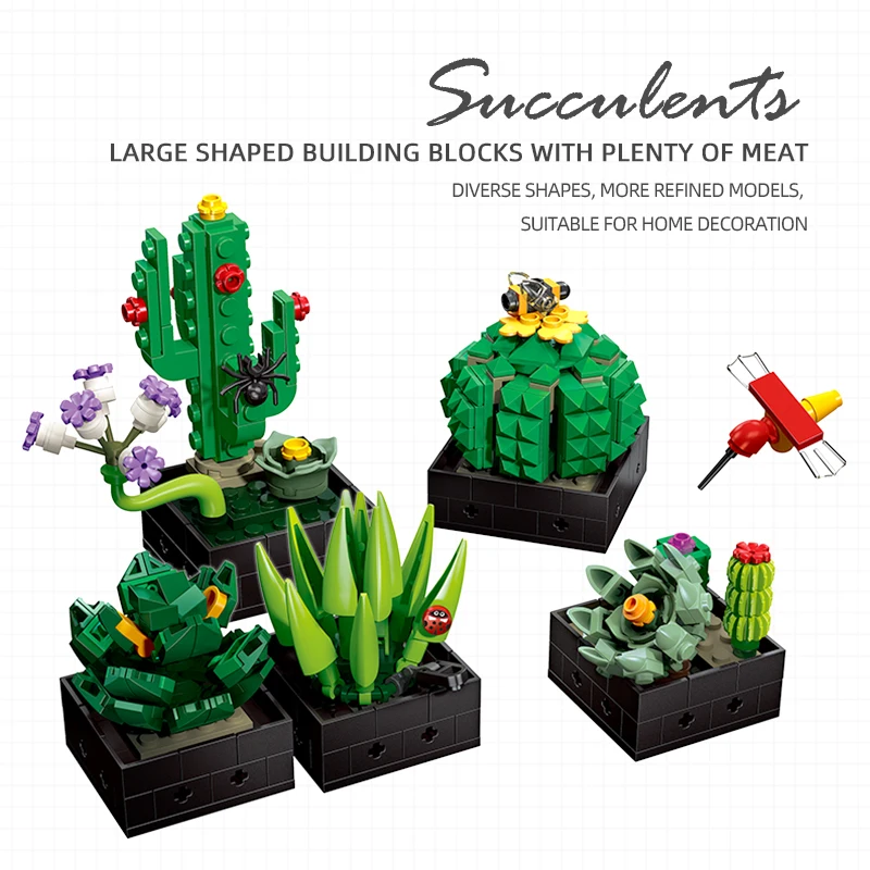 Set plantas suculentas decorativas para habitación – estilo natural - imagen 2