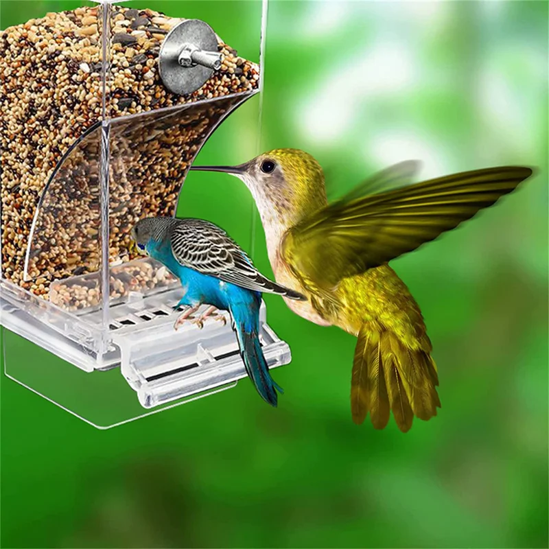 Comedero automático sin desorden para pájaros – Acrílico - imagen 2