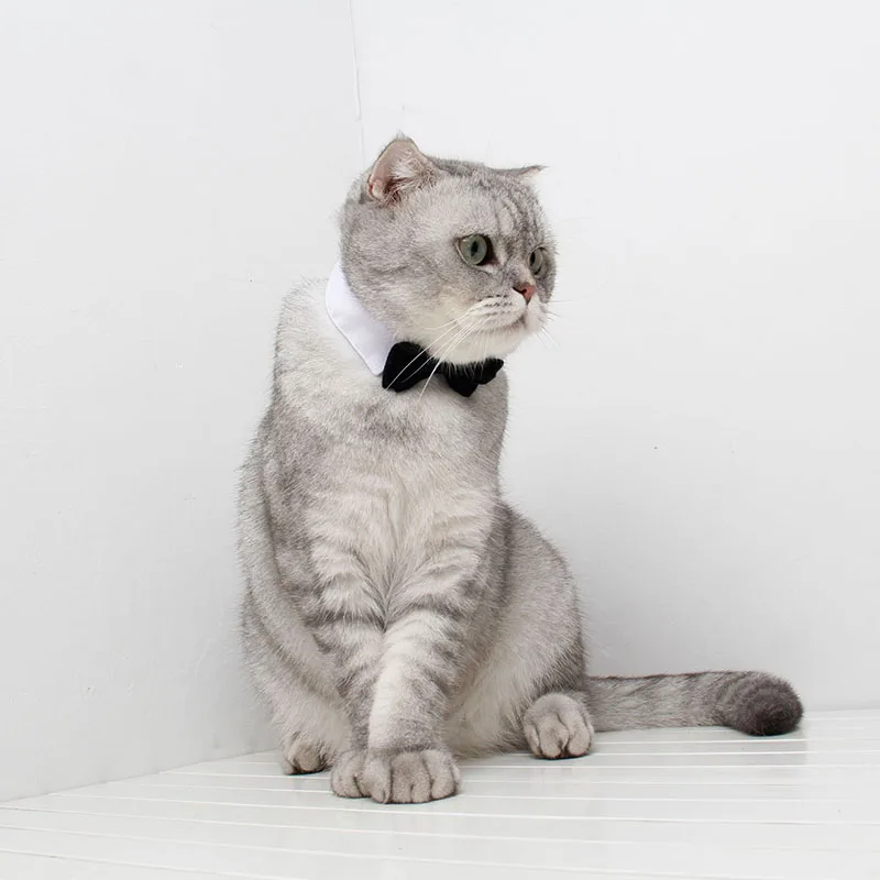 Corbata negra para mascotas ajustable con velcro - imagen 5