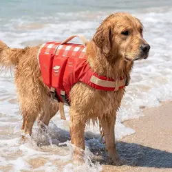Chaleco salvavidas impermeable para perros con alta flotabilidad