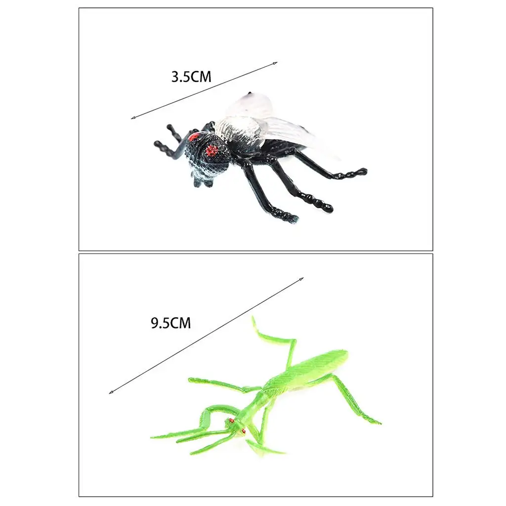 Insecto realista juguete educativo para preescolar – Aprendizaje - imagen 3