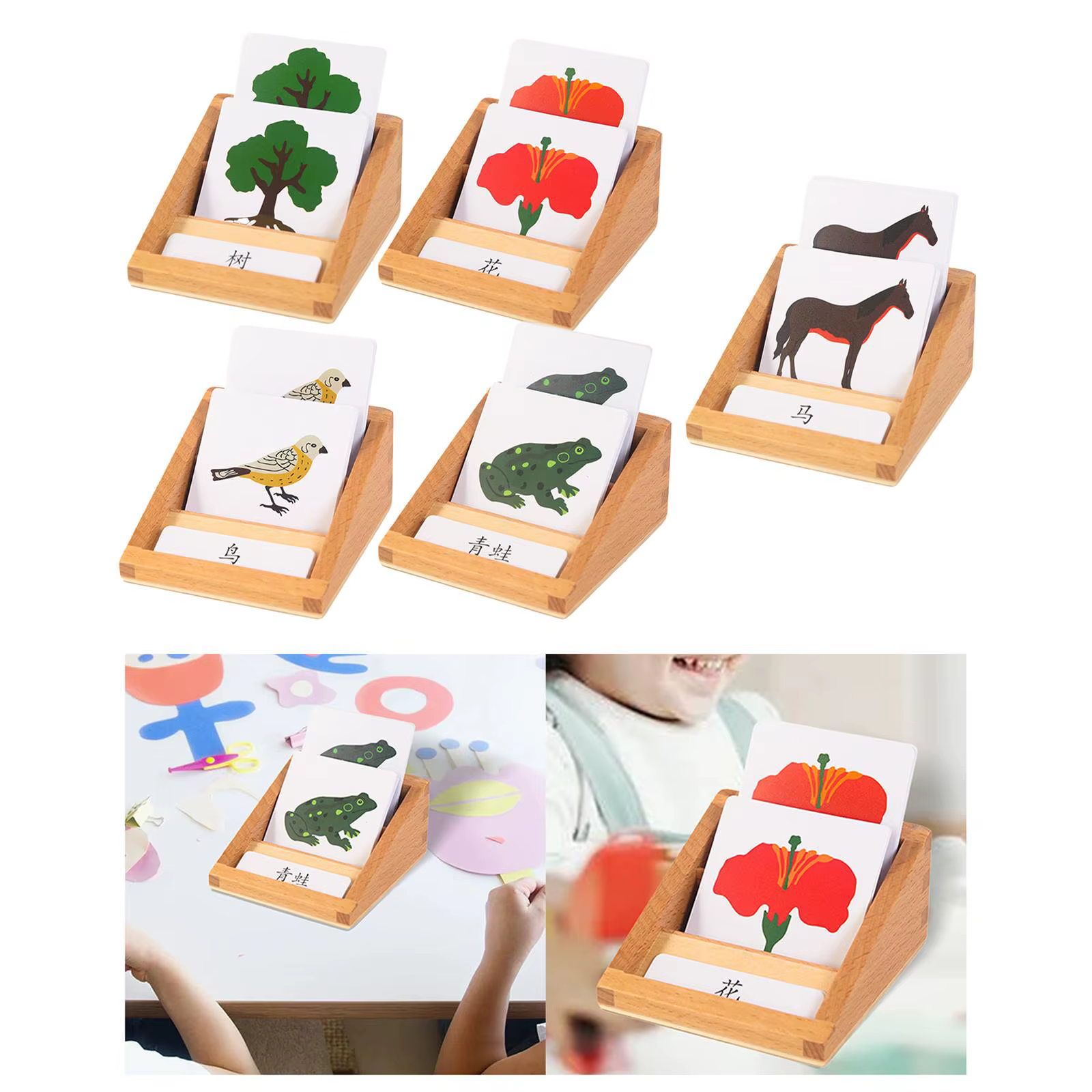 Juguete educativo realista de animales y plantas por segmentos - imagen 3