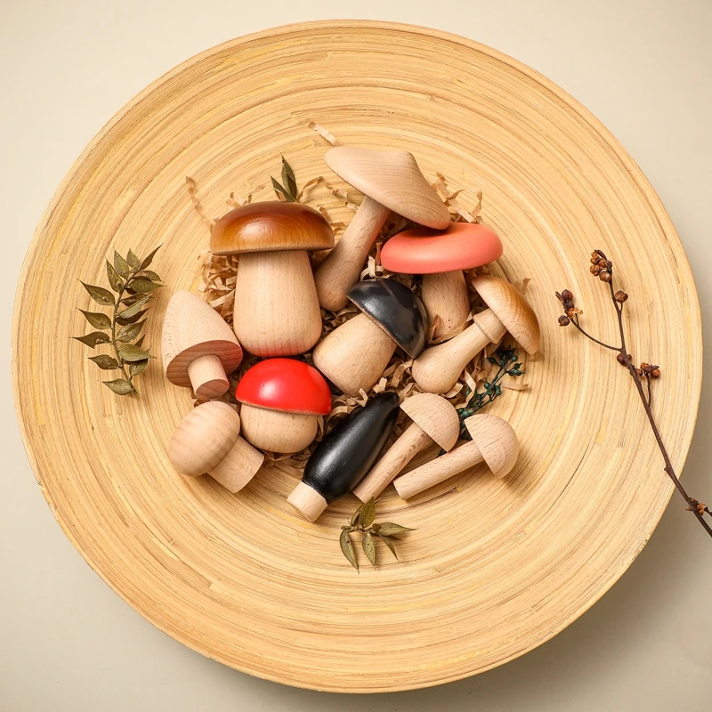 Juego de clasificación Montessori