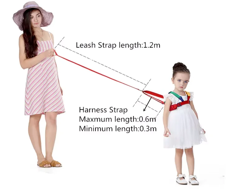 Cinturón para aprender a andar, vista frontal