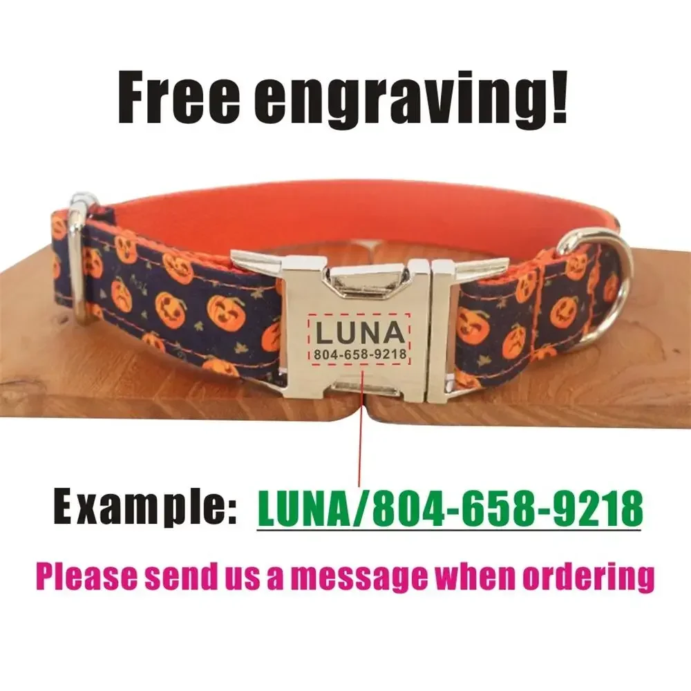Collar para perro personalizado con grabado gratuito – Correa a juego - imagen 4