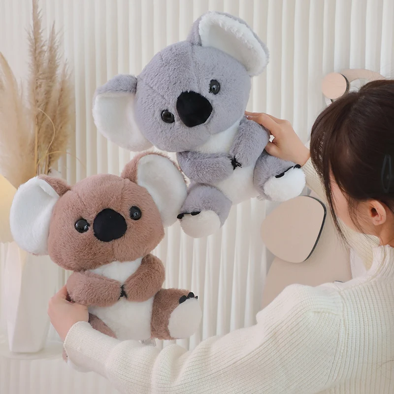 Peluche koala suave Kawaii de aventura australiana, para regalo - imagen 5