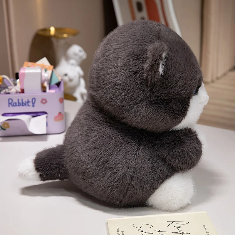 Peluche de gato redondo con forma de almohada infantil - imagen 4