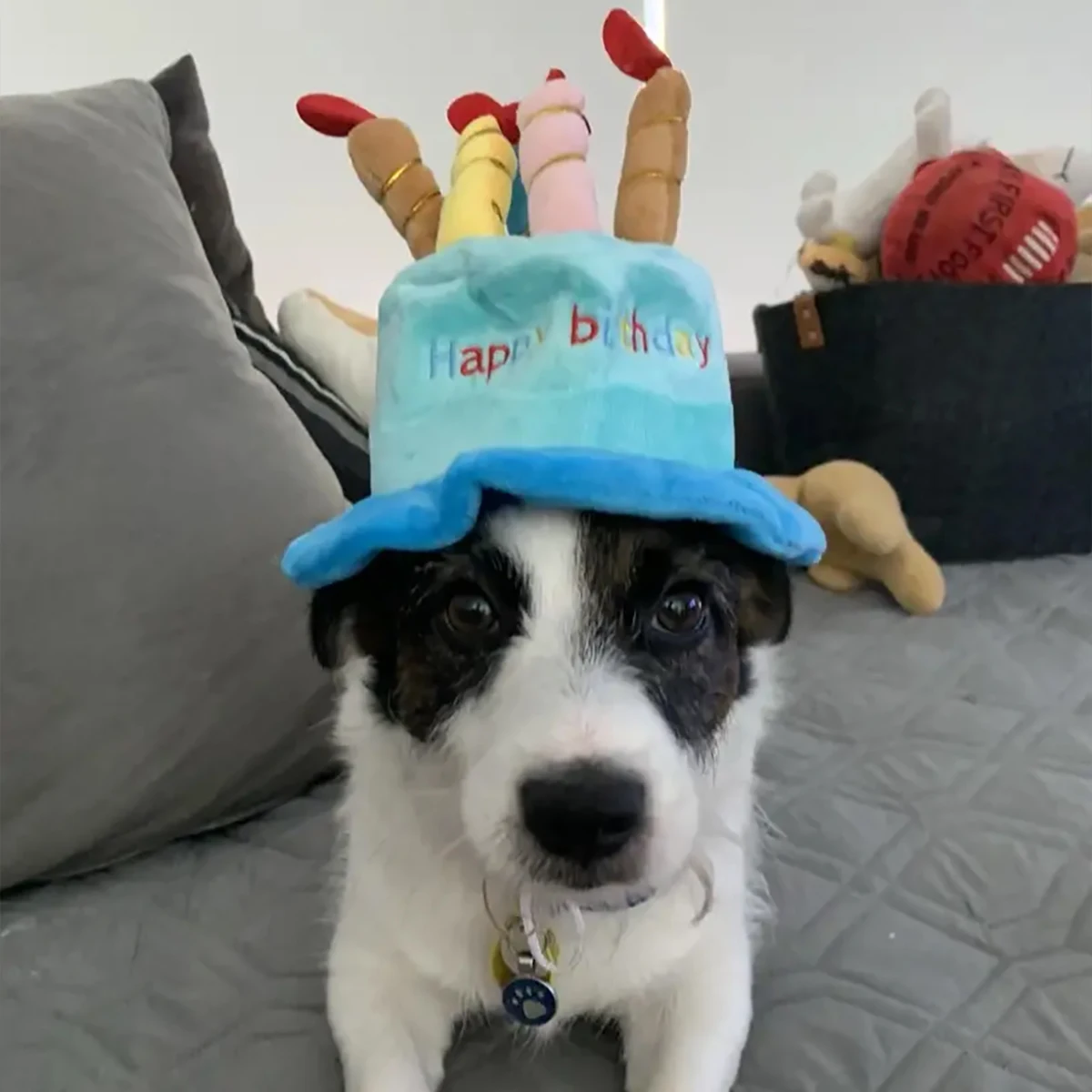 Sombrero azul en uso