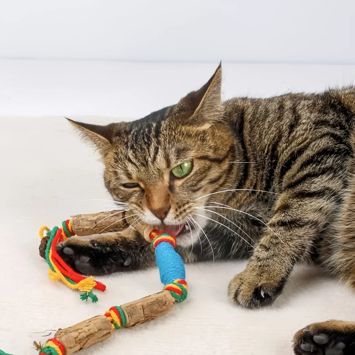Juguete en acción con gato