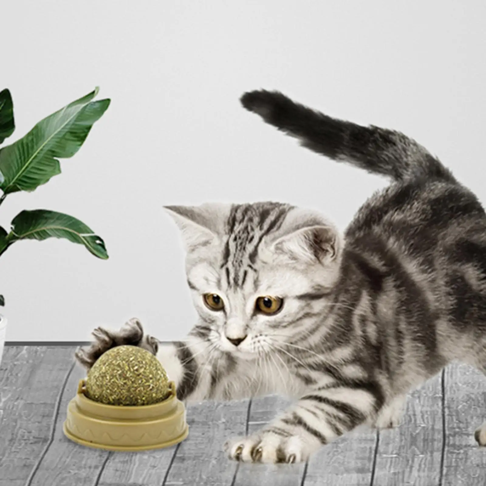 Bola de hierba gatera para lamer, juguete nutritivo - imagen 3