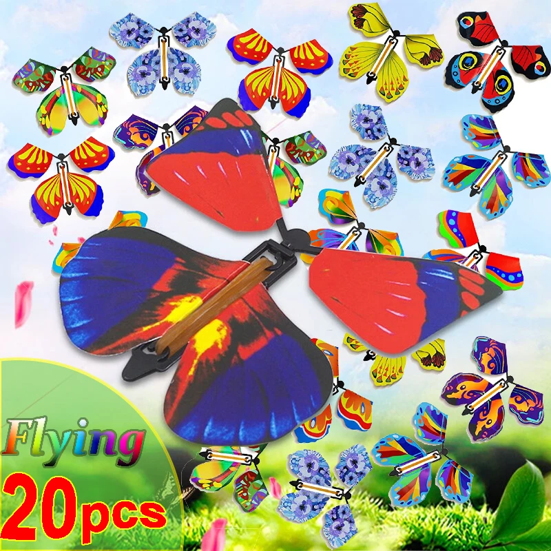 Mariposa preparada para volar