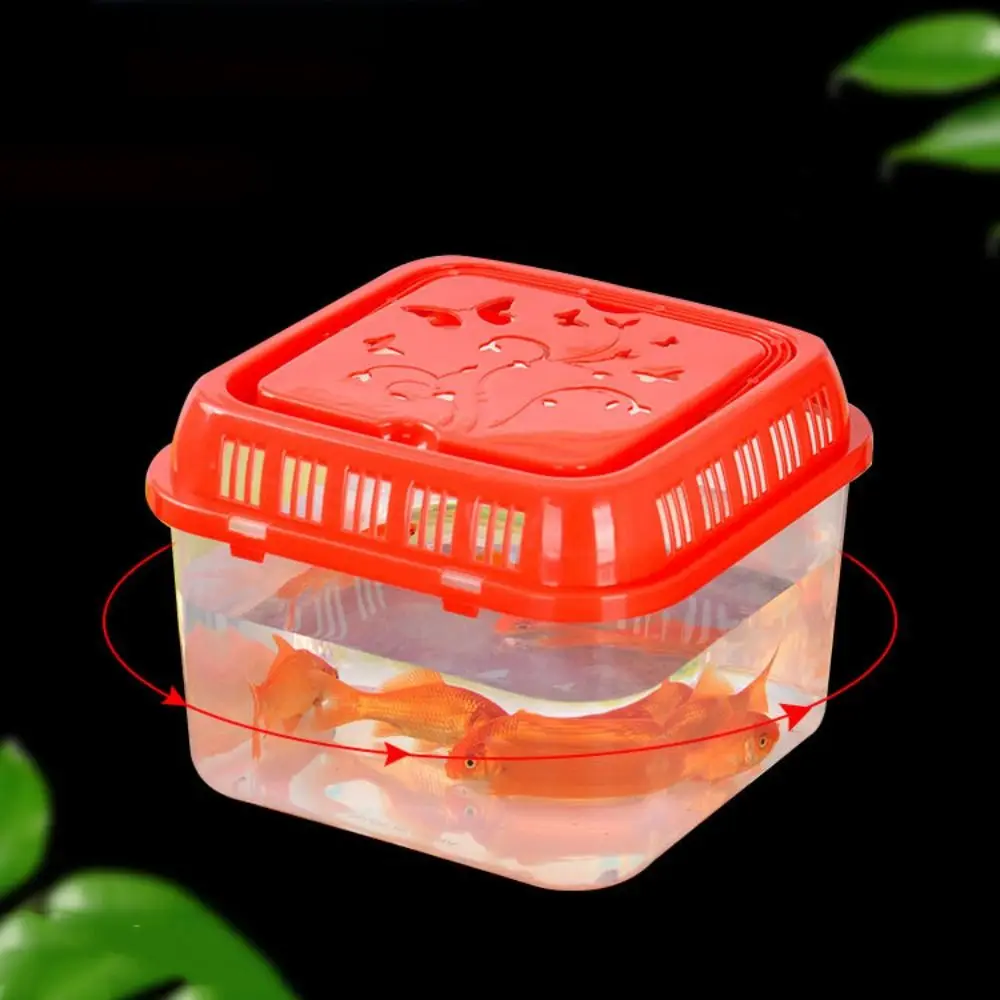 Pecera portátil para mascotas: mini terrario de plástico