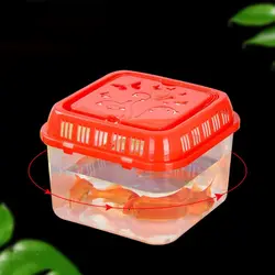 Pecera portátil para mascotas: mini terrario de plástico