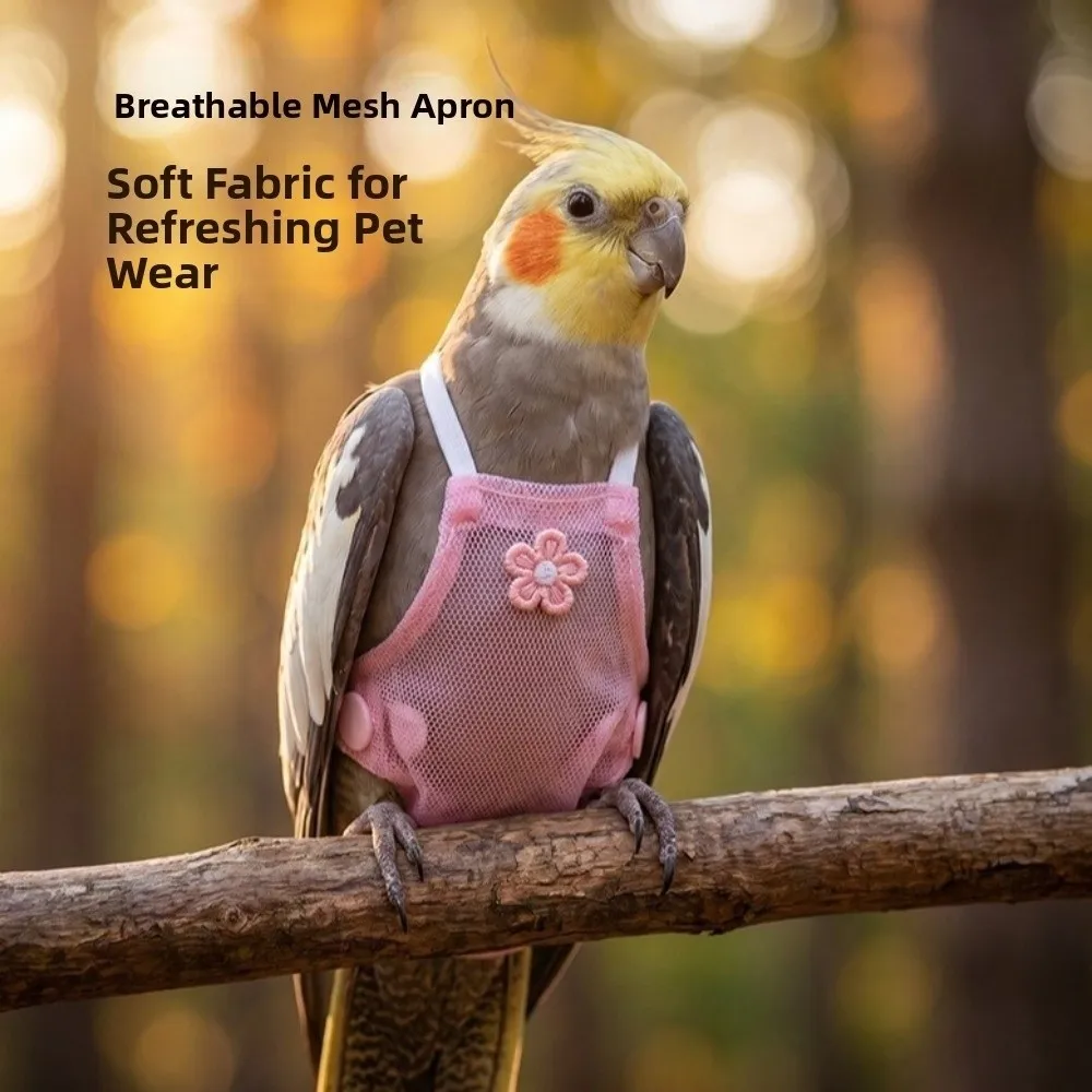 Tallas de pañal para aves