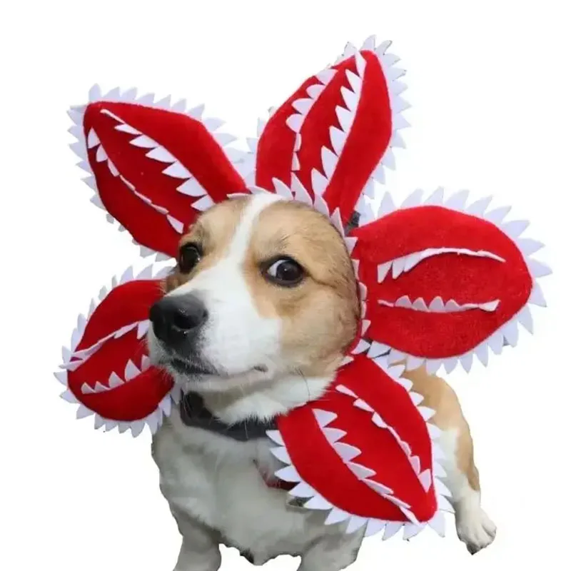 Sombrero piraña ajustable para perro y gato - imagen 5