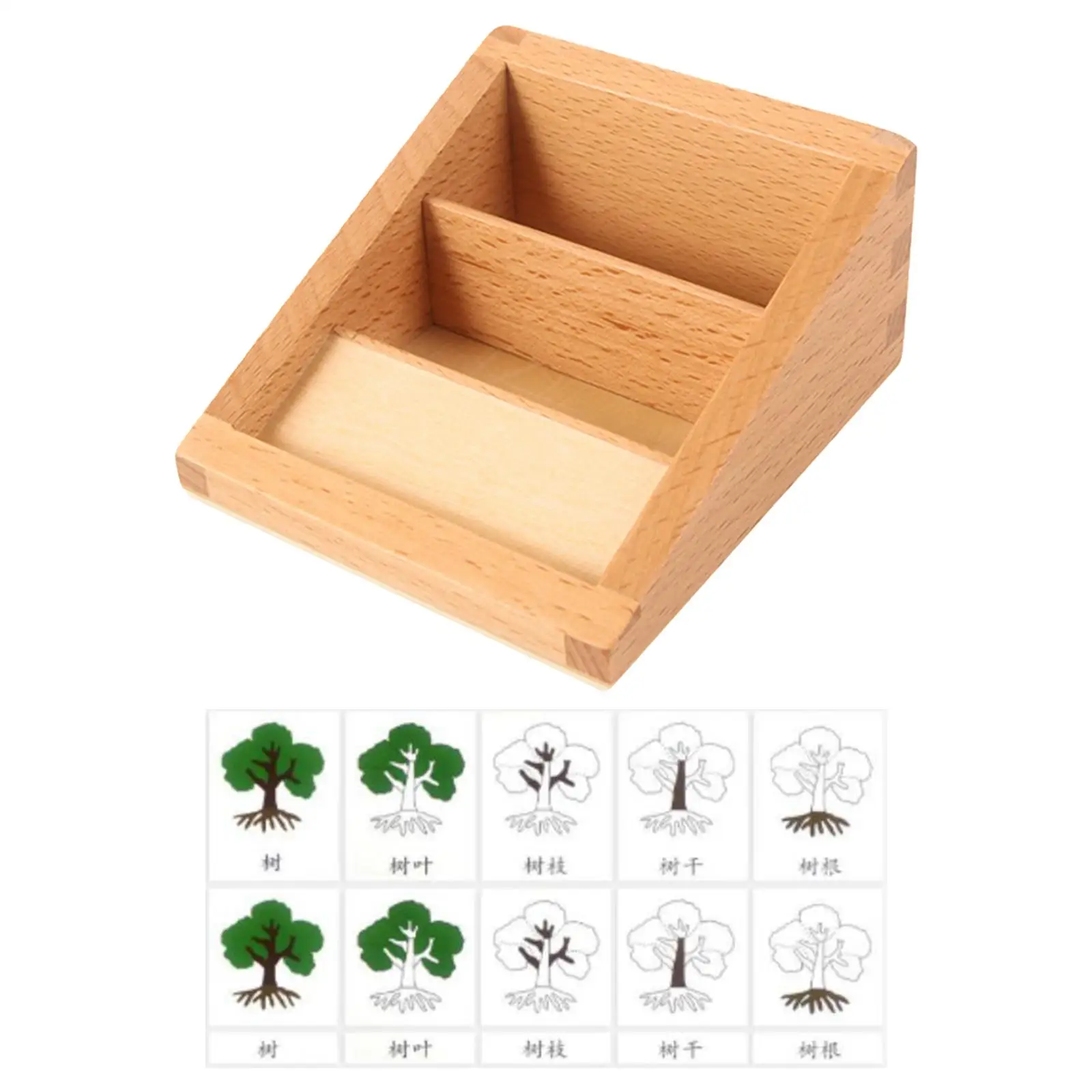 Juguete educativo realista de animales y plantas por segmentos - imagen 5