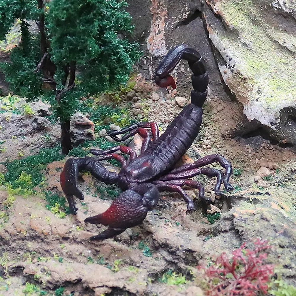 Juguete educativo de ciencia y naturaleza con escorpión para niños - imagen 2
