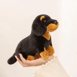 Peluche perro salchicha suave tipo dachshund para hogar y niños
