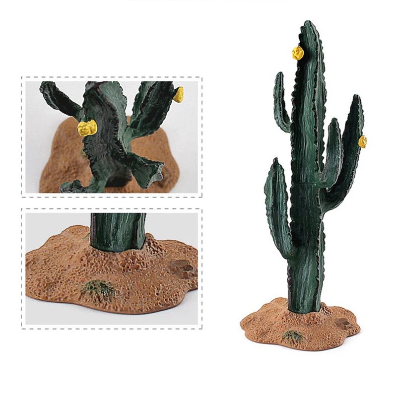Miniaturas de cactus y baobab – Juguete educativo para niños - imagen 5