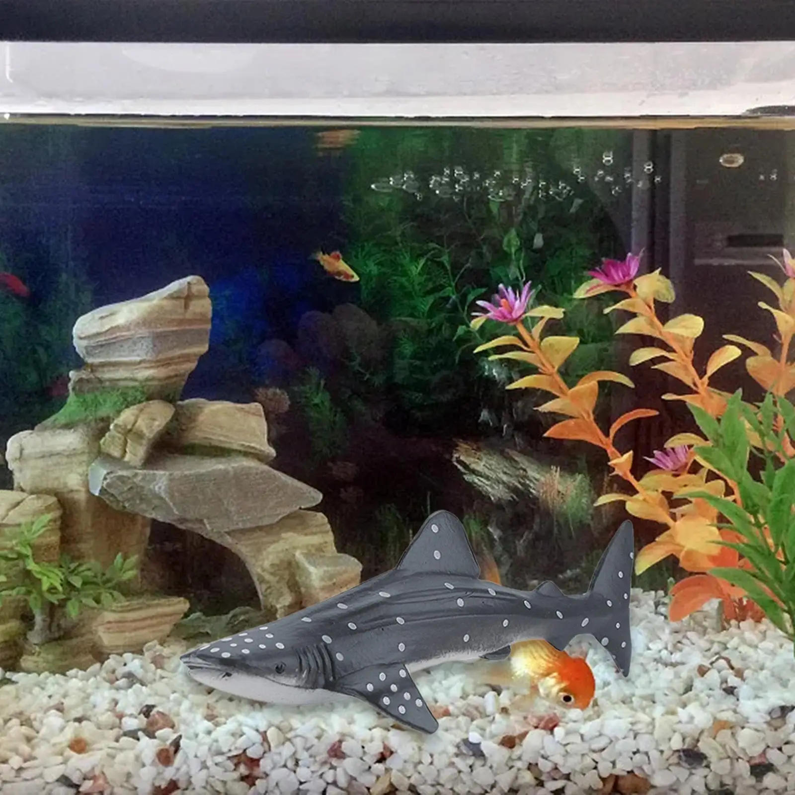 Figura de ballena en miniatura de PVC para aprendizaje infantil - imagen 5
