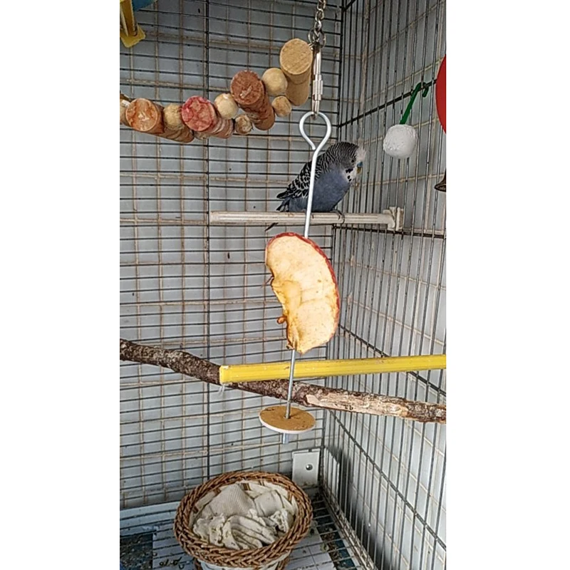 Soporte de comida para pájaros de acero inoxidable