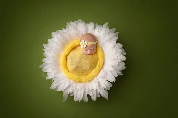 Cesta y telones de fondo para sesión de bebé