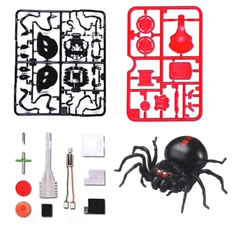 Kit educativo hazlo tú mismo de araña caminante alimentada por sal
