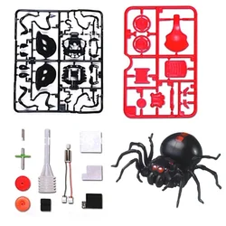 Kit educativo hazlo tú mismo de araña caminante alimentada por sal