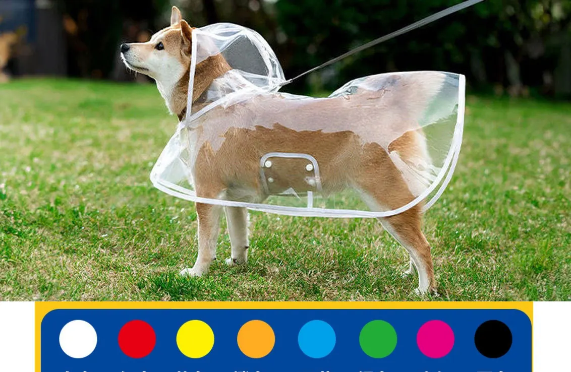 Impermeable transparente para perros en uso