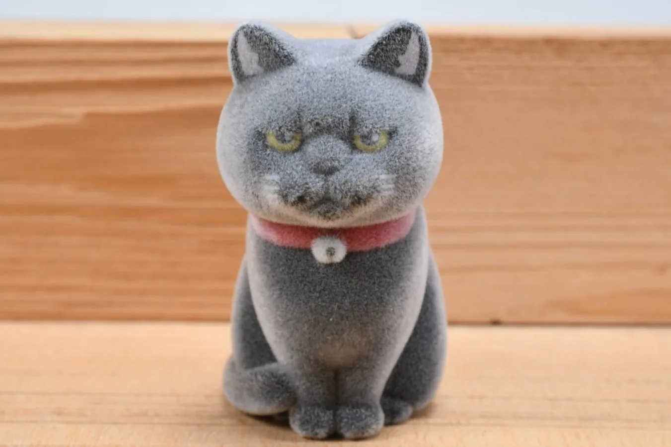 Detalle del gato flocado con expresión gruñona