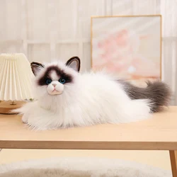 Muñeco peluche gato Ragdoll pelo largo ojos azules