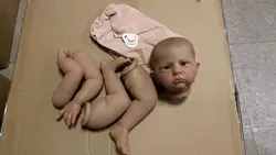 Muñeca Reborn Cameron pintada: bebé realista con muchos detalles