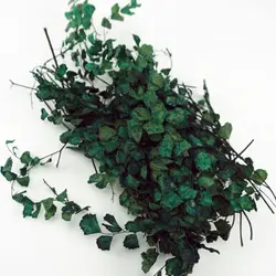 Vegetación en miniatura realista para micropaisajes de ferromodelismo