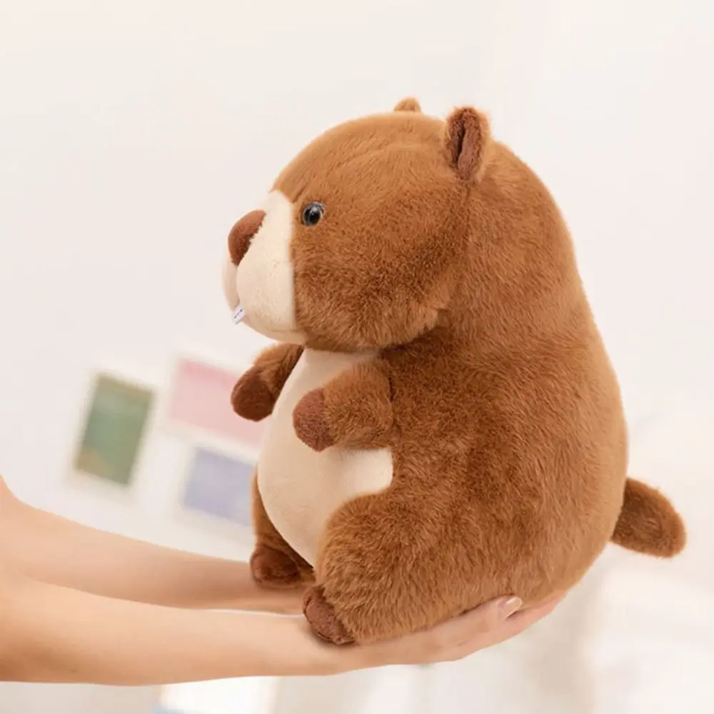 Peluche de mapache esponjoso con relleno de algodón para niños - imagen 5
