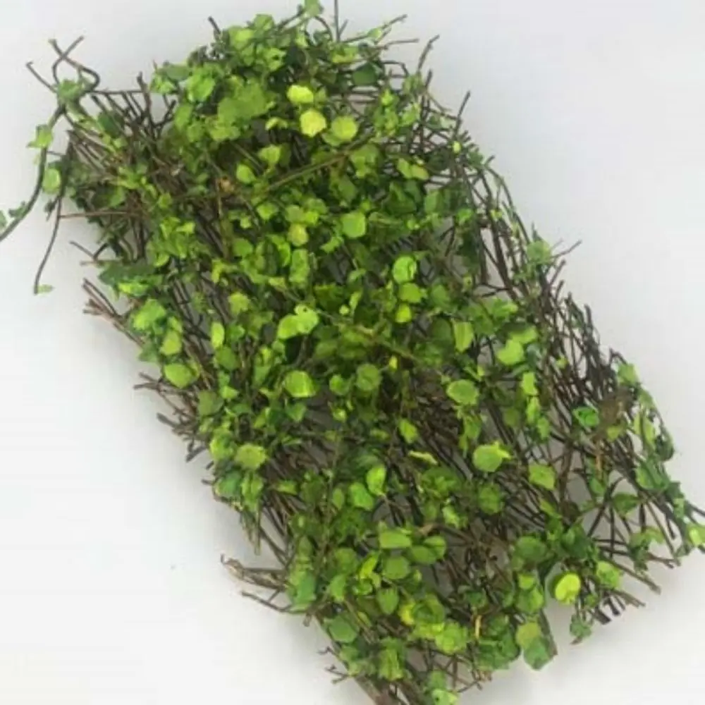 Detalle de vegetación y enredaderas en miniatura