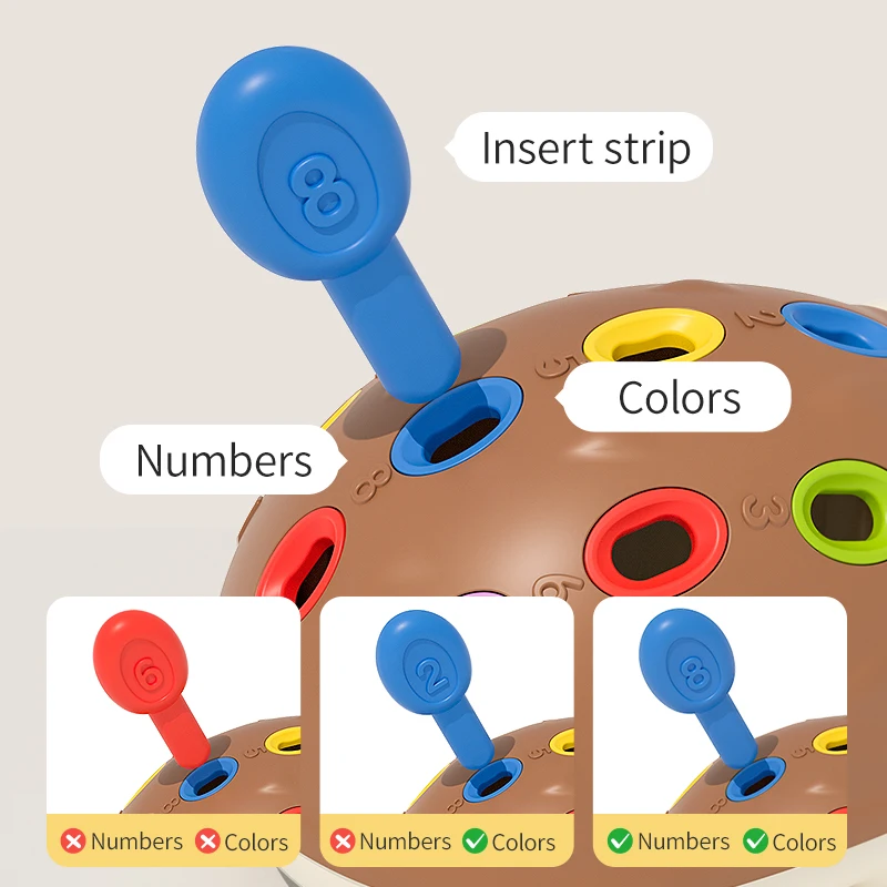 Juguetes sensoriales Montessori de erizo para motricidad fina - imagen 4
